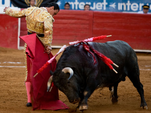 Ajustada vitolina de Sp�nola  (S.H)