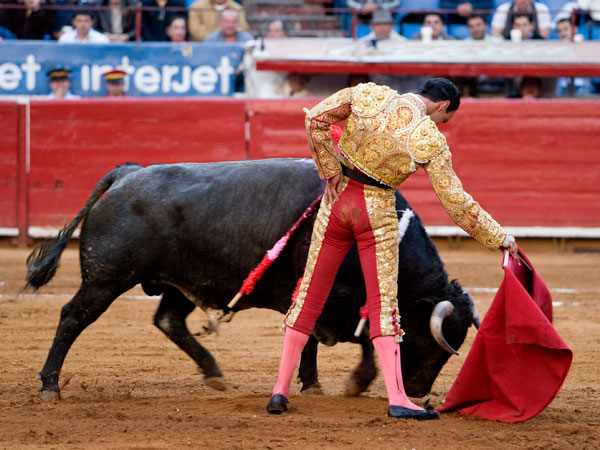 Vertical y limpio (S.H)