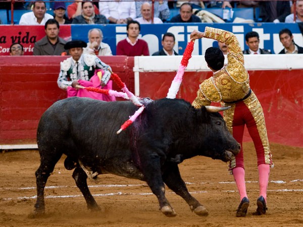 Expuso mucho en este par (S.H)