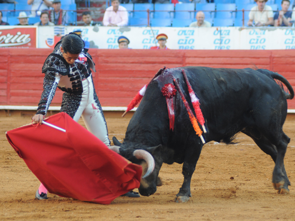 Aprovecho sus dos toros  (T.A)