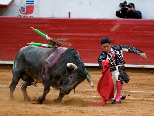 Vistoso dobl�n  (S.H)