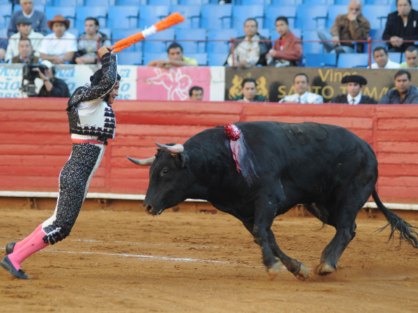 Acertado en Banderilas (T.A)