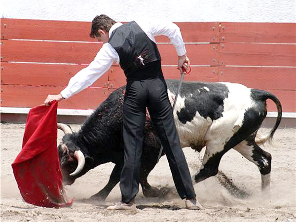 Un estupendo natural