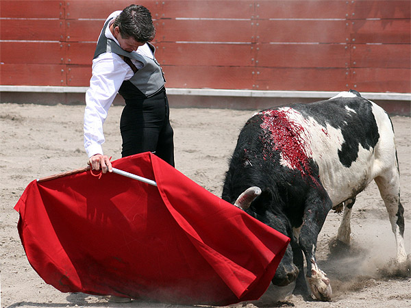 Templando las embestidas
