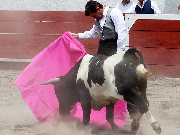 Jugando los brazos a la ver�nica