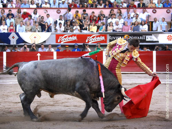 Naturales en los medios