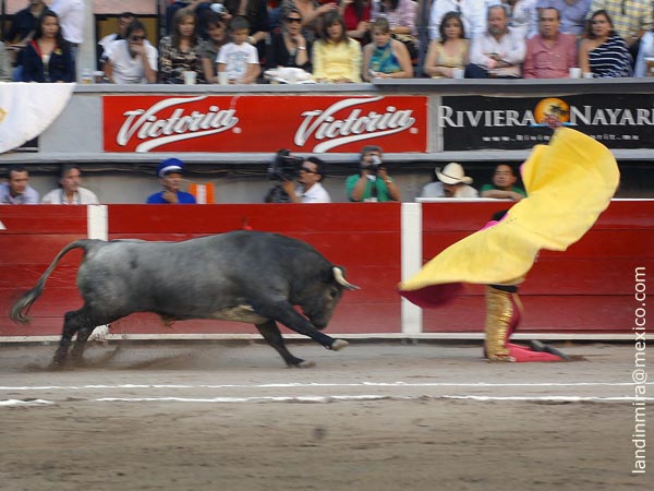 Juli, con deseos de triunfo