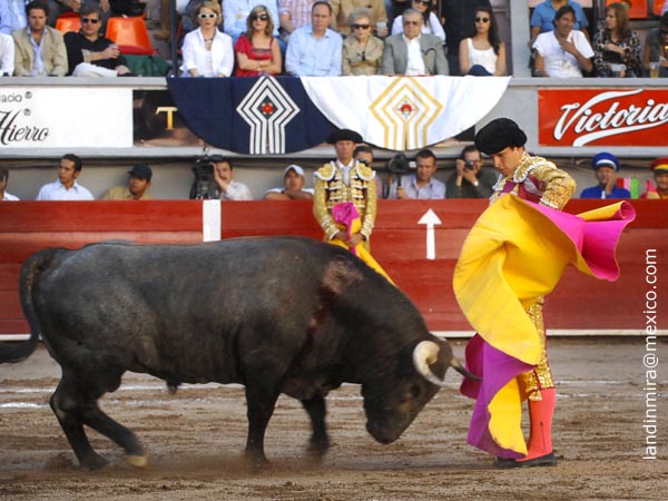 Chicuelinas madrile�as