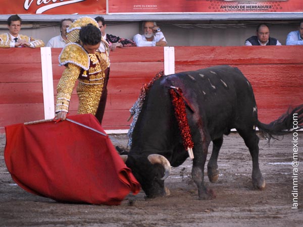 De nuevo por el derecho