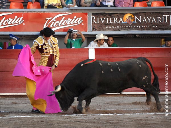 Ochoa se abre de capa