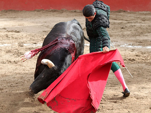 Gust�ndose con el toro