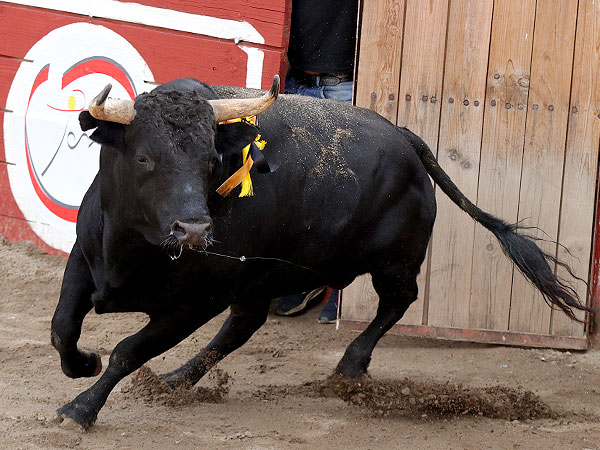 Gran Corrida de Las Huertas