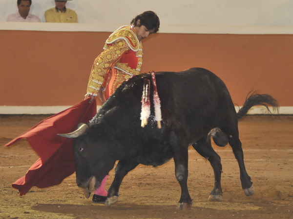 Elegante cambio de mano