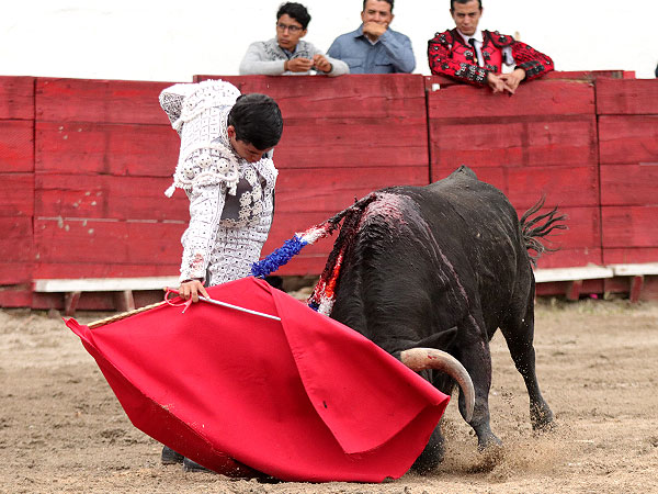 Trazo extraordinario