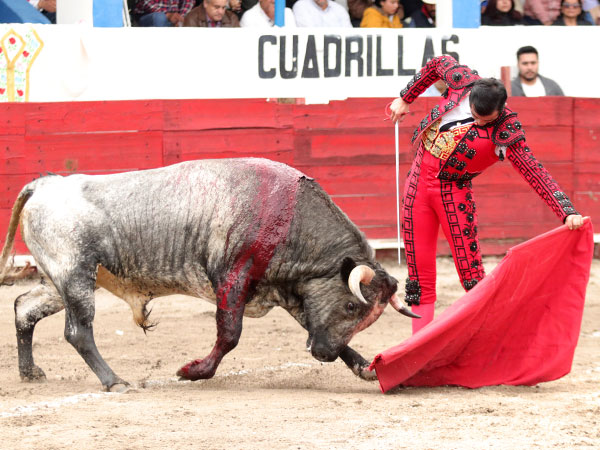 Disfrutando el natural