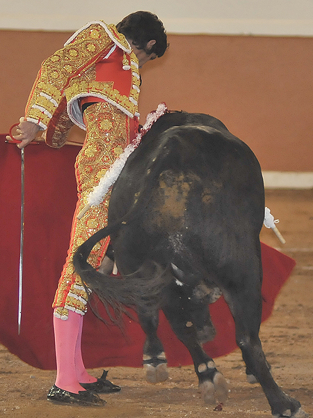 Perfecta sincron�a