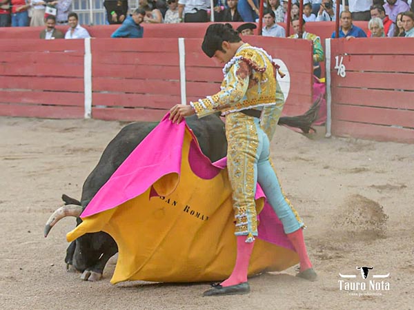 Sentimiento en las ver�nicas