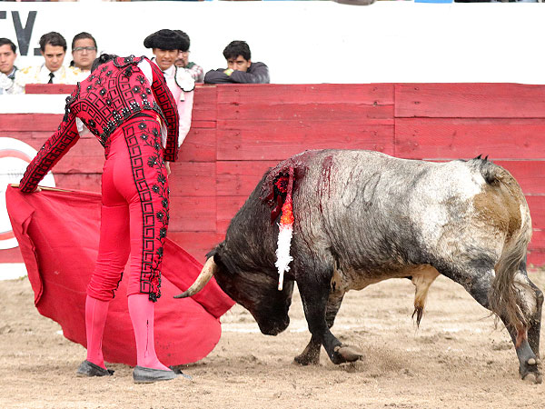 Estructurando la faena