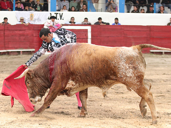 Trasteo con transmisi�n