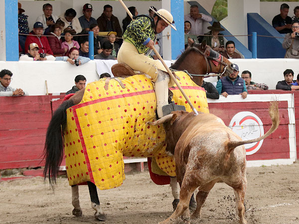 Empujaron al caballo