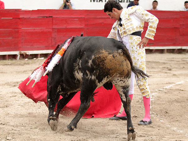 Faena de insistencia