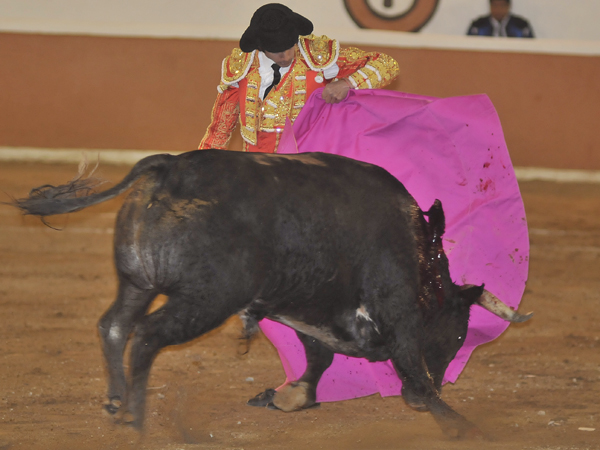 Castella, con el percal
