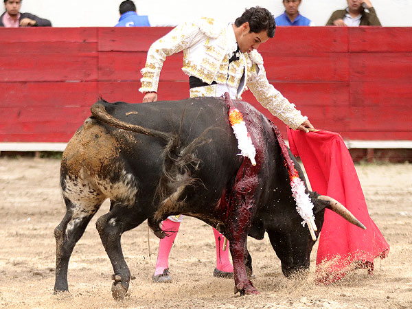 La clase y buen gusto