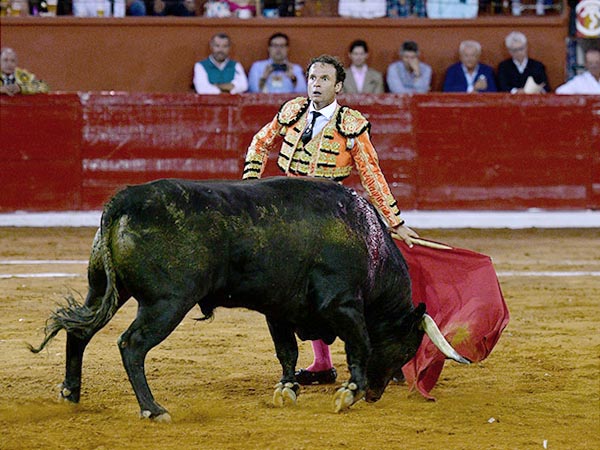 La mirada en el tendido