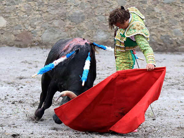 Un novillero con sello