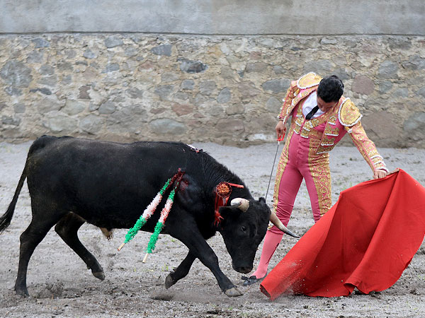 Acariciando la embestida