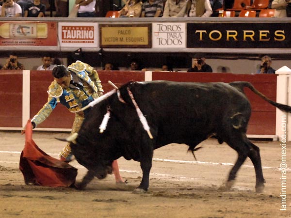 Trasteo que le val�o una oreja