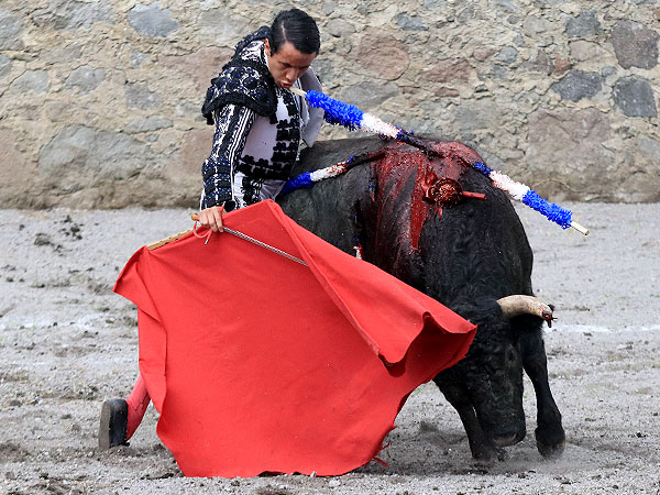 Acompa�ando el muletazo