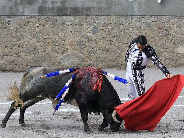 Novillada de Heriberto Rodr�guez