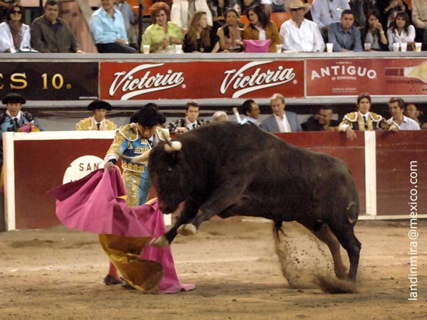 Zotoluco con el segundo de regalo