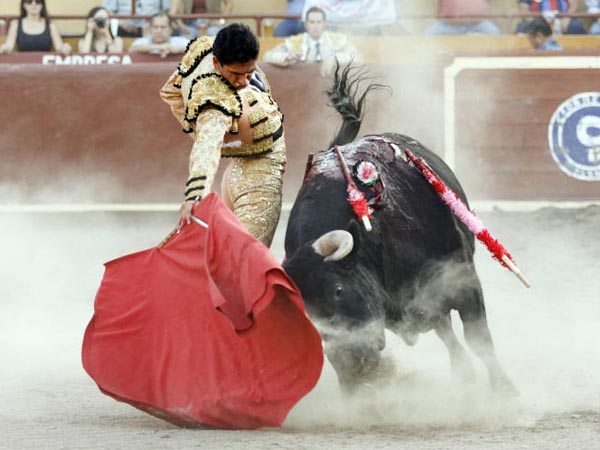 Conjunci�n de ejemplar y torero