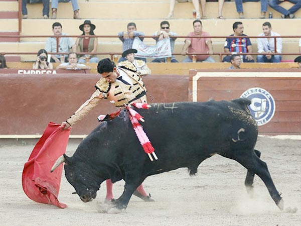 Bajo la mirada de Lucy y Memo