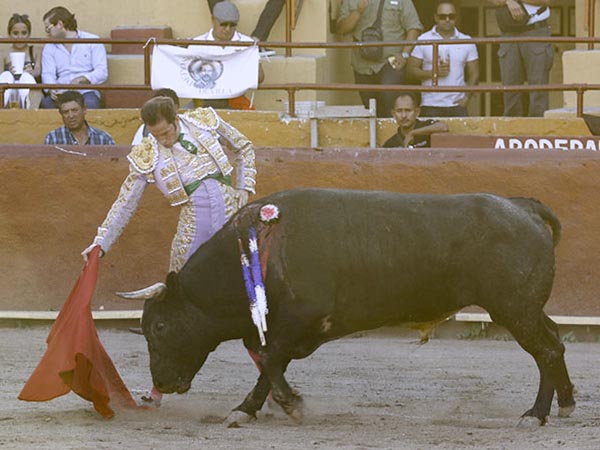 Sin tocar la franela