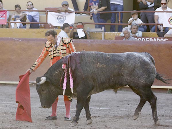 Ferrera, primer espada