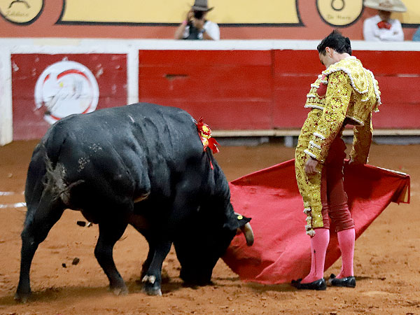 Expresando el toreo grande