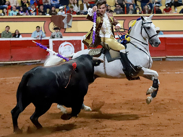 La voluntad como bandera