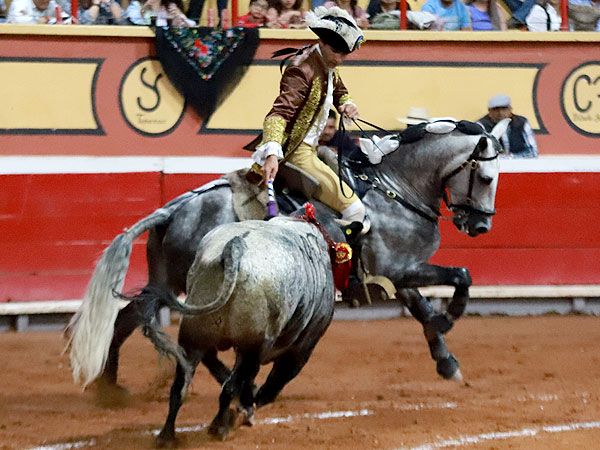 Fauro Aloi, caballero en plaza