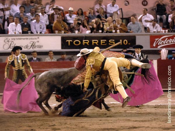 Cornada mortal al caballo