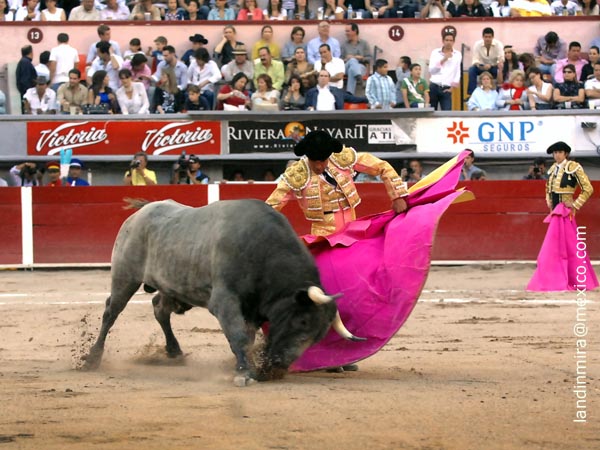 Navarras en el quite