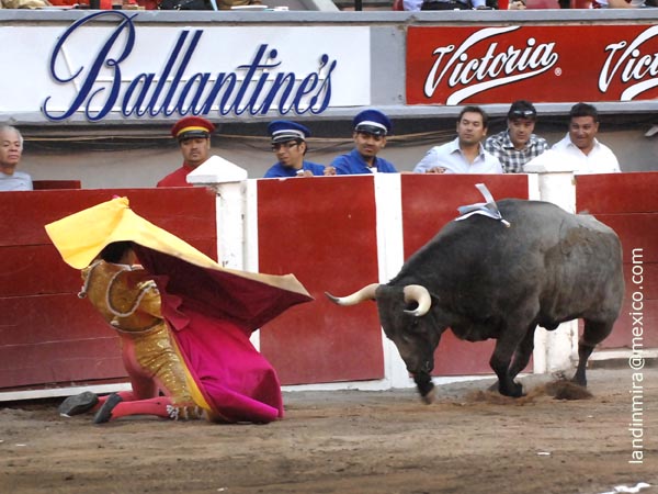 Ortega saluda al quinto