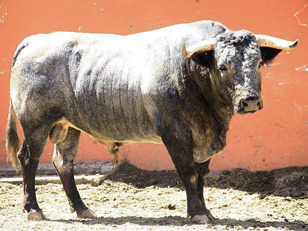 No. 97 Jos� Garfias