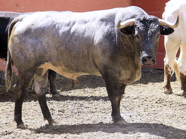 No. 32 Jos� Garfias