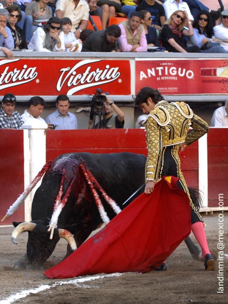 Dejando caer la sarga