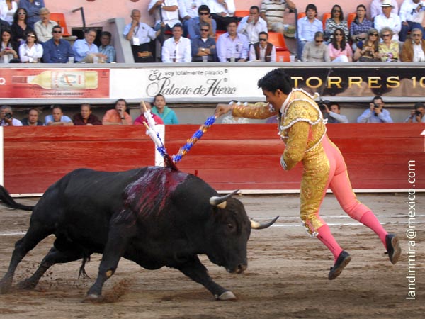 El viol�n de Apizaco