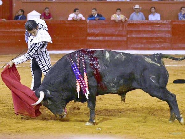 De pecho al abrochar