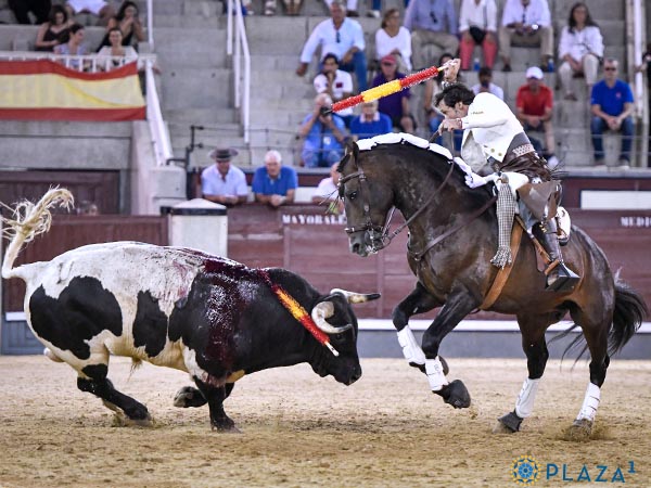 Metiendo la cara abajo